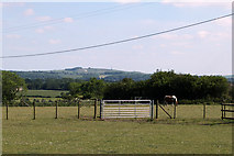 SU0176 : 2011 : On Beacon Hill, near Catcomb Farm by Maurice Pullin