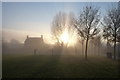 Through the mist at College Green, Yeovil