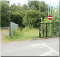 Track into woods, Upper Race, Pontypool