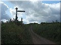 Bidwell Cross and Colaton Lane