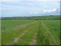 Byway towards Troedyrhiw