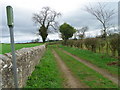 Bridleway near Gainford