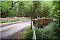 Bridge over Unnamed Stream, Great Wood