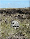 SD9129 : Boundary Stone by Humphrey Bolton