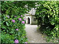 Through the rhododendrons, Icklesham