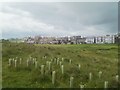 Alnmouth view