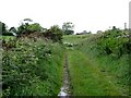 Approaching the hamlet of Ballystokes along St Patrick