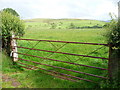 SN7826 : Gate into a June meadow near Blaenllechach Farm by Jeremy Bolwell