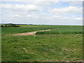 Large field near Combe Hill