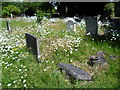 In Hammersmith New Cemetery