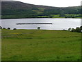 Grazing land above Loch Broom