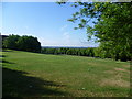 View from Hilly Fields