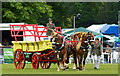 The South of England Show 2011