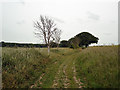 Farm track near Bentley Old Hall