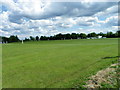 Village cricket, Coate