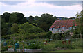 2011 : Allotments seen from John Burns Close