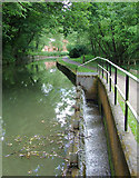 SK0247 : Canal and overflow weir near Froghall, Staffordshire by Roger  D Kidd
