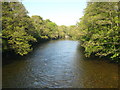 The River Eamont below Eamont Bridge