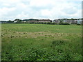 Riverside flats at Pulborough