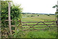 Bridleway With A View