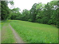 The Ropewalk meadow above Coalbrookdale