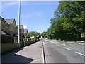 Whitehall Road - viewed from Back Lane