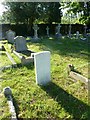 St. Edmund, Crofton: churchyard (5)