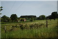 Horngate Cottage from the Bure Valley Path