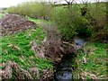 SP2443 : Stream near Glebe Farm by Nigel Mykura