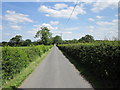 Hob Lane towards Dunham-on-the-Hill