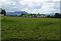 A field on the edge of Clitheroe