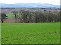 NN9523 : Arable field near Madderty by Maigheach-gheal