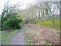 The old road to Gildersome, Farnley