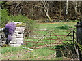 Gate near Quoig