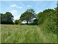 Field corner near Lightwood Lane Farm