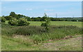 Fields west of Little Carterhall Wood