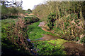 Old Cress Bed at Ginge