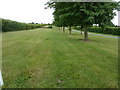 Tree lined gallops at Coombelands