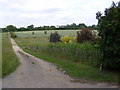 TM2456 : Footpath to Monewden Road by Geographer