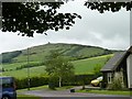 Bulb Park houses