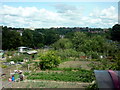 Allotments at Chapeltown, Leeds