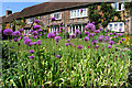 Country Garden, Vicarage Lane, Ivinghoe