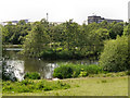 SJ9599 : The Upper Lake, Stamford Park by David Dixon