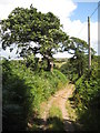 Track above Blackpool Sands