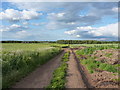 Tracks across fields at Lynn