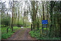 Horsham Guides Campsite, Nowhurst Copse