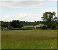 2011 : Mowing grass near Tanyard Farm, Oakhill