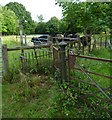 Cattle and assorted gates near Brook House