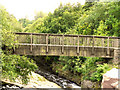 Wooden Footbridge Over the River Tame