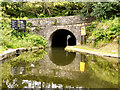 SD9701 : Scout Tunnel, Huddersfield Narrow Canal by David Dixon